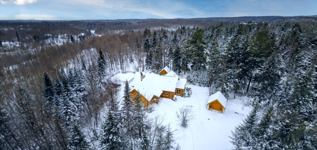 Chalet White Rabbit