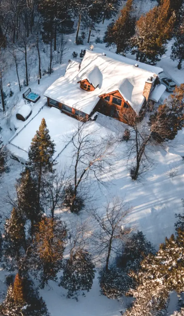 Chalet Silver Fox